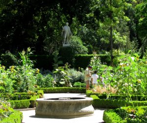 Real Jardín Botánico de Madrid