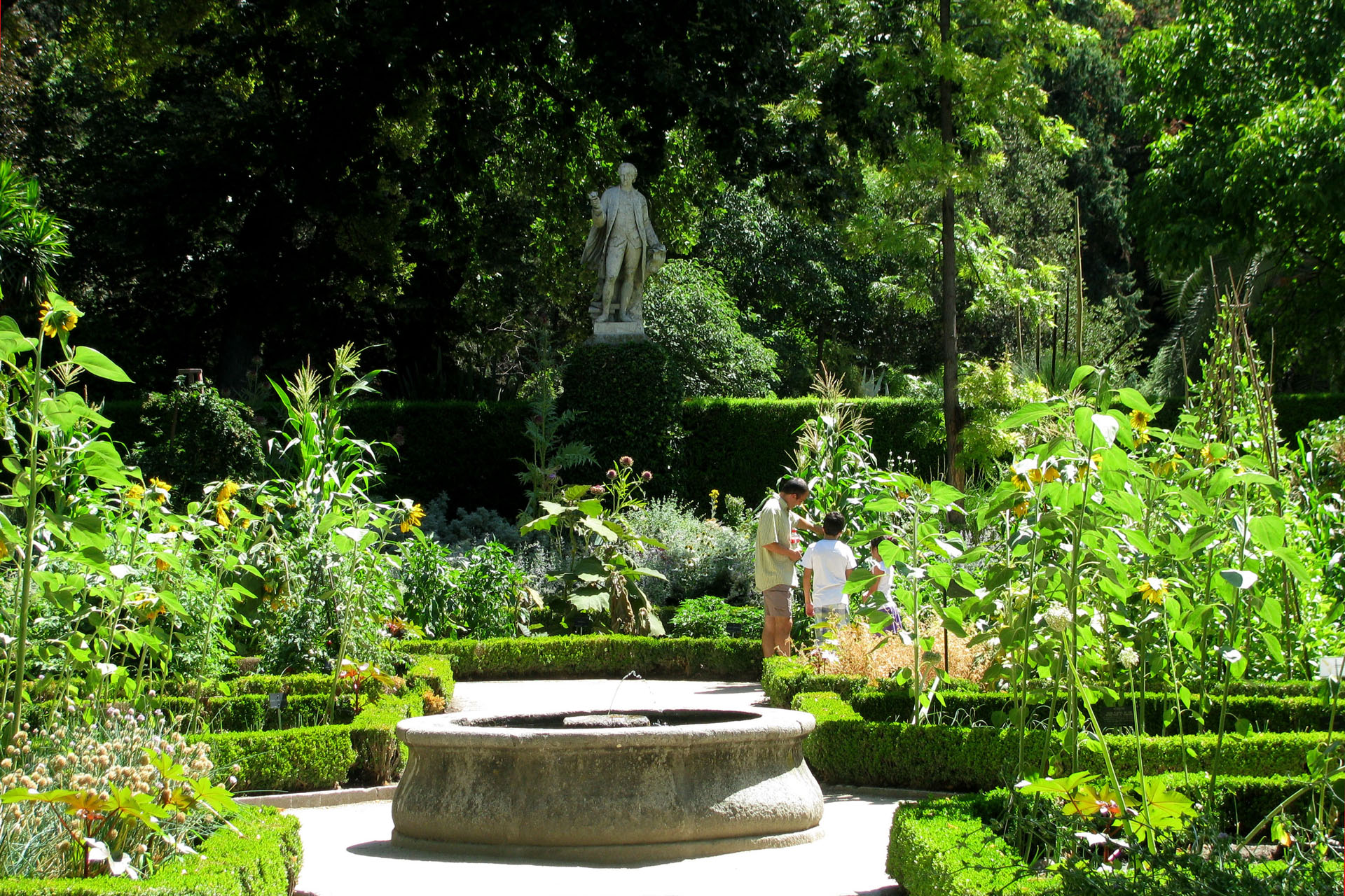 Real Jardín Botánico de Madrid