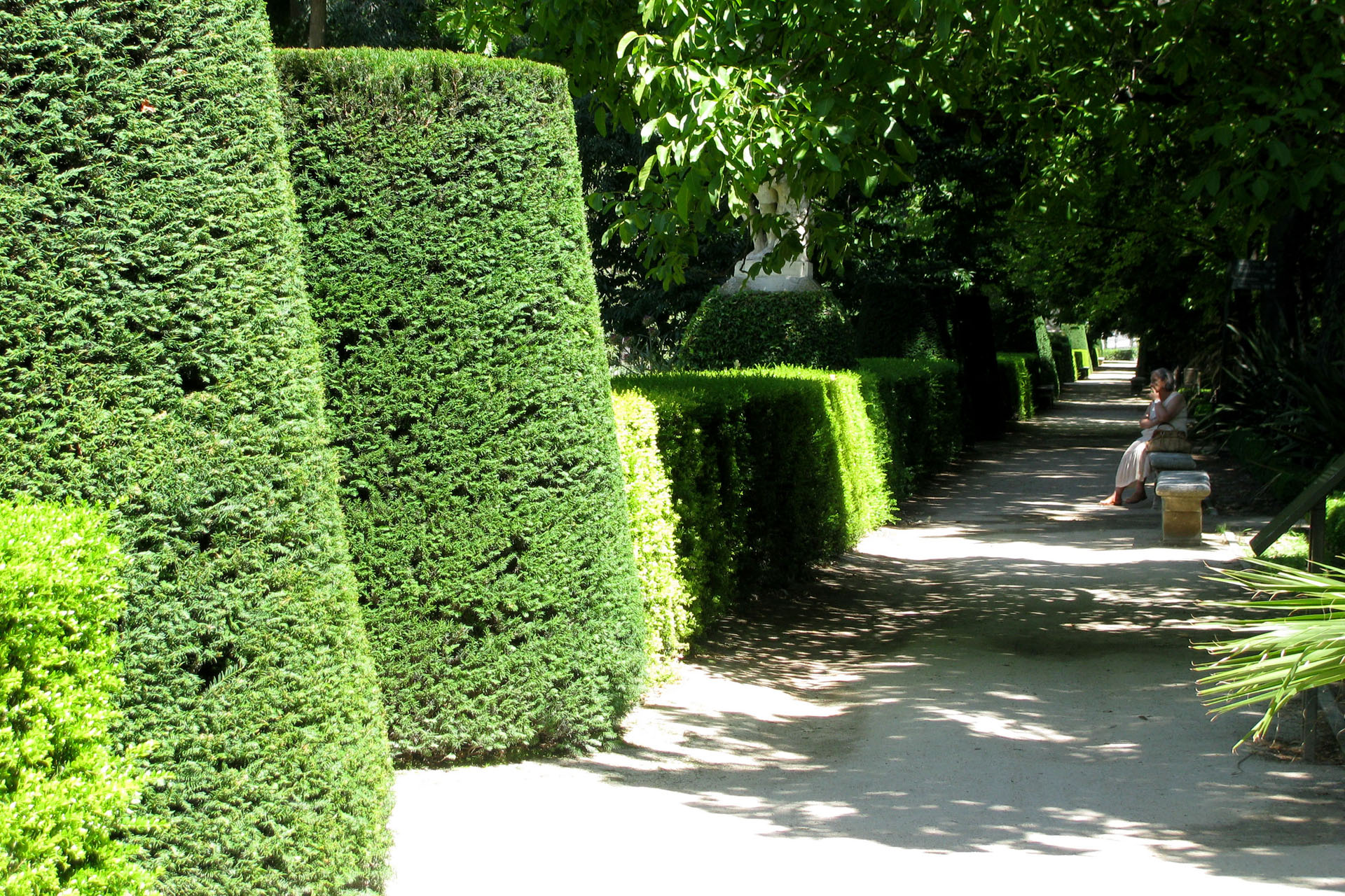 Real Jardín Botánico de Madrid