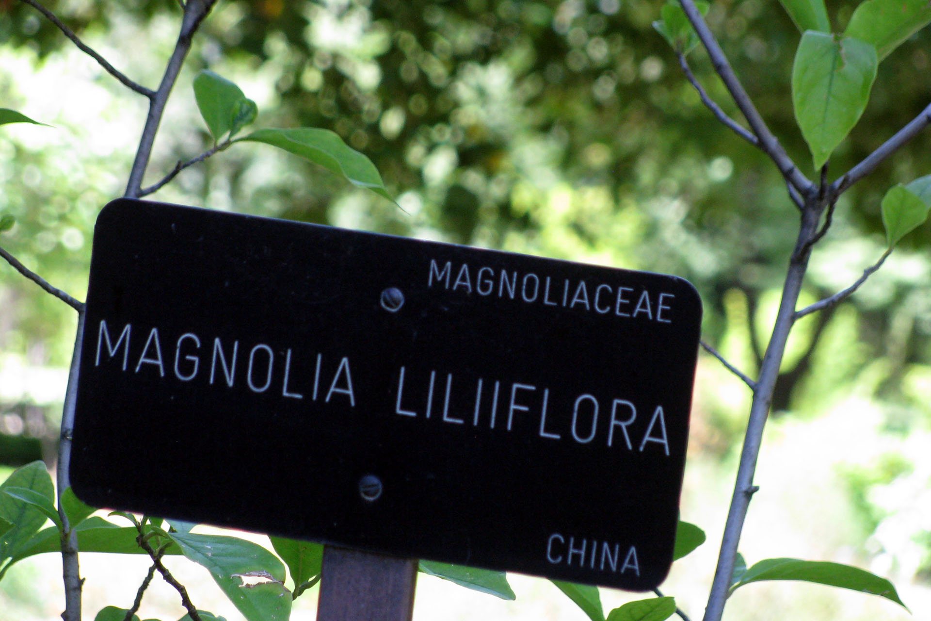 Real Jardín Botánico de Madrid