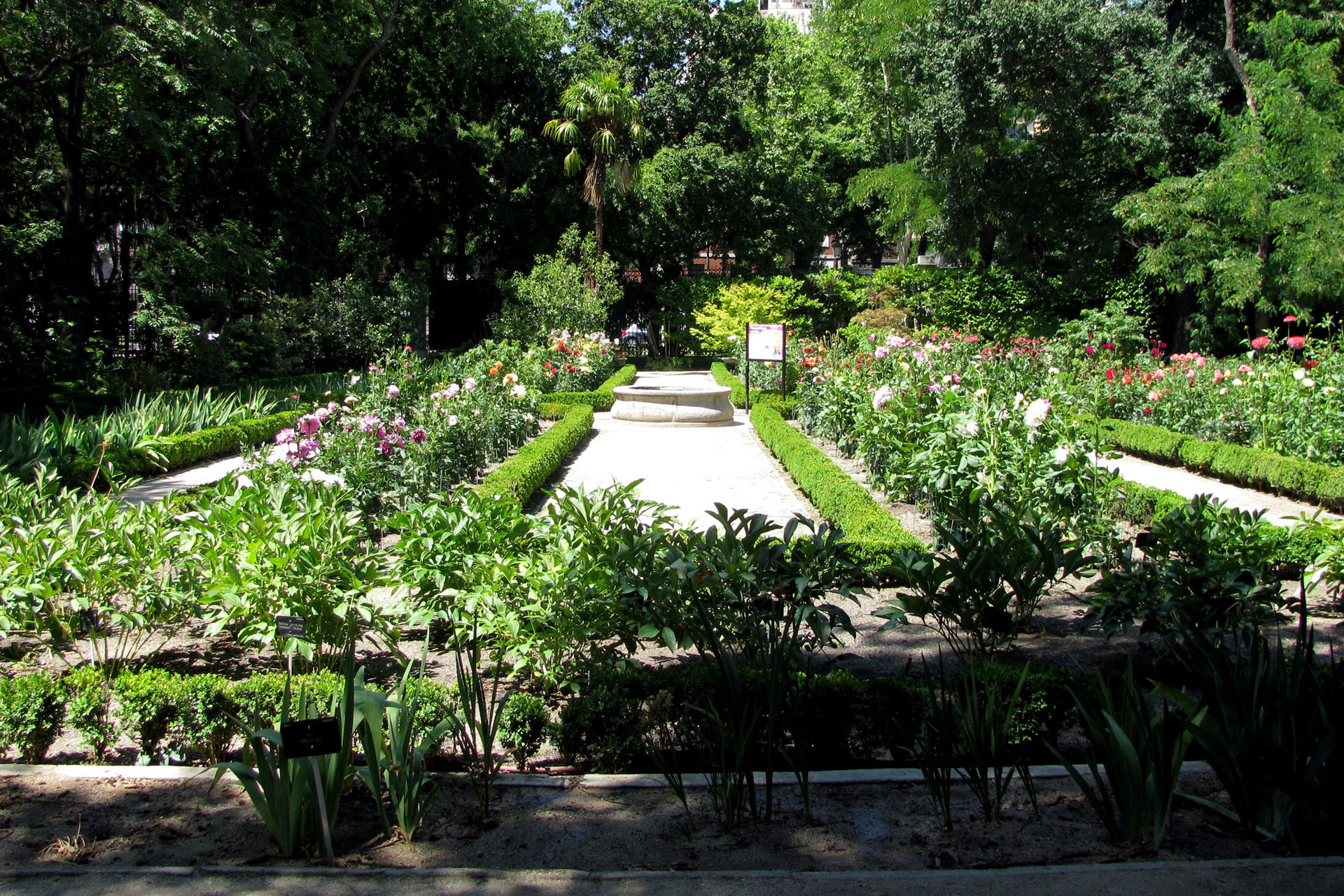 Botánico