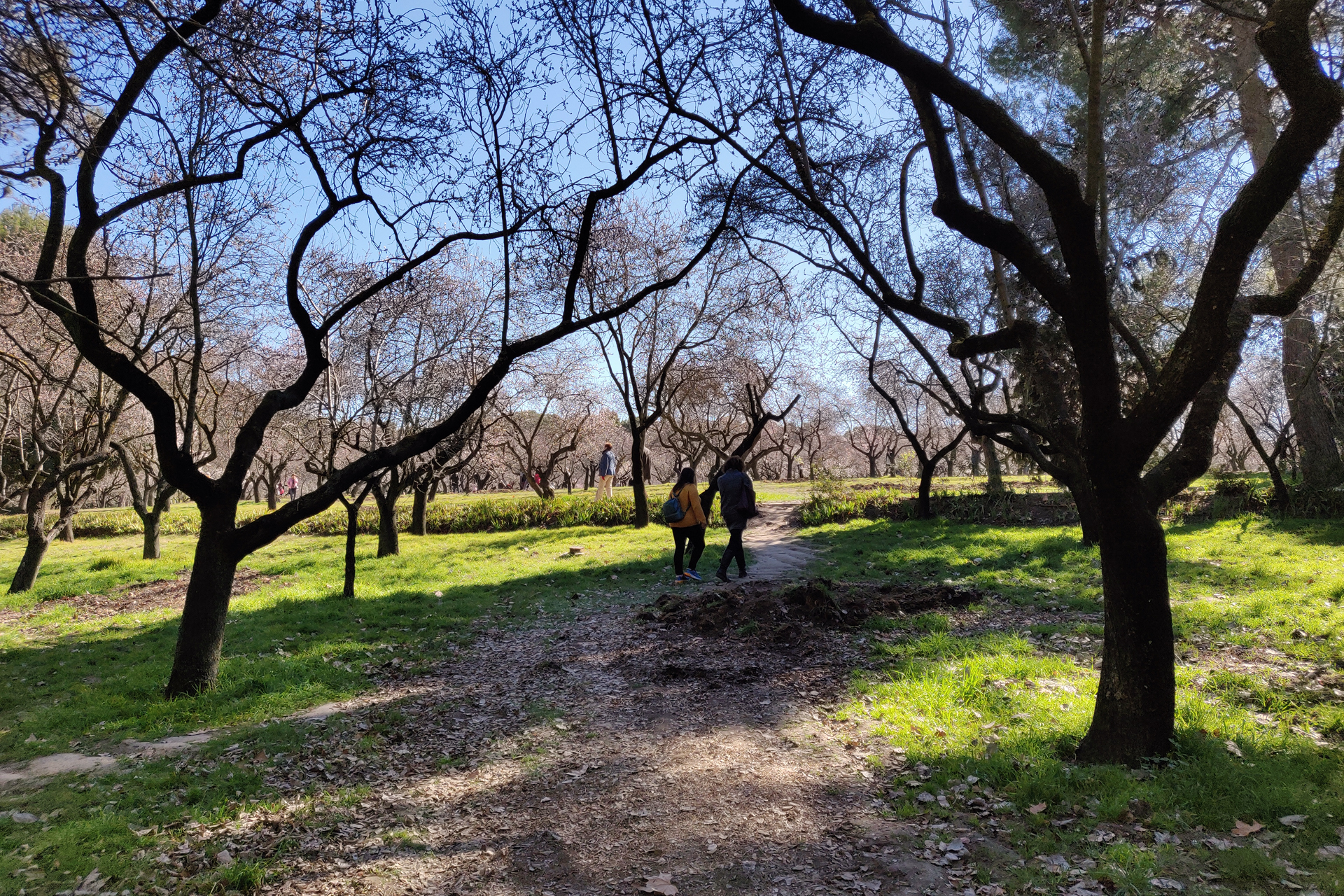 Quinta de los Molinos