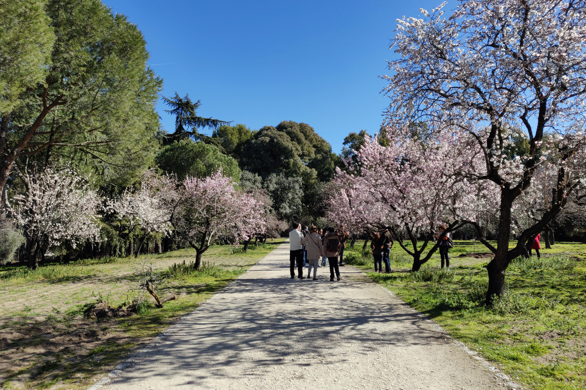 Quinta de los Molinos