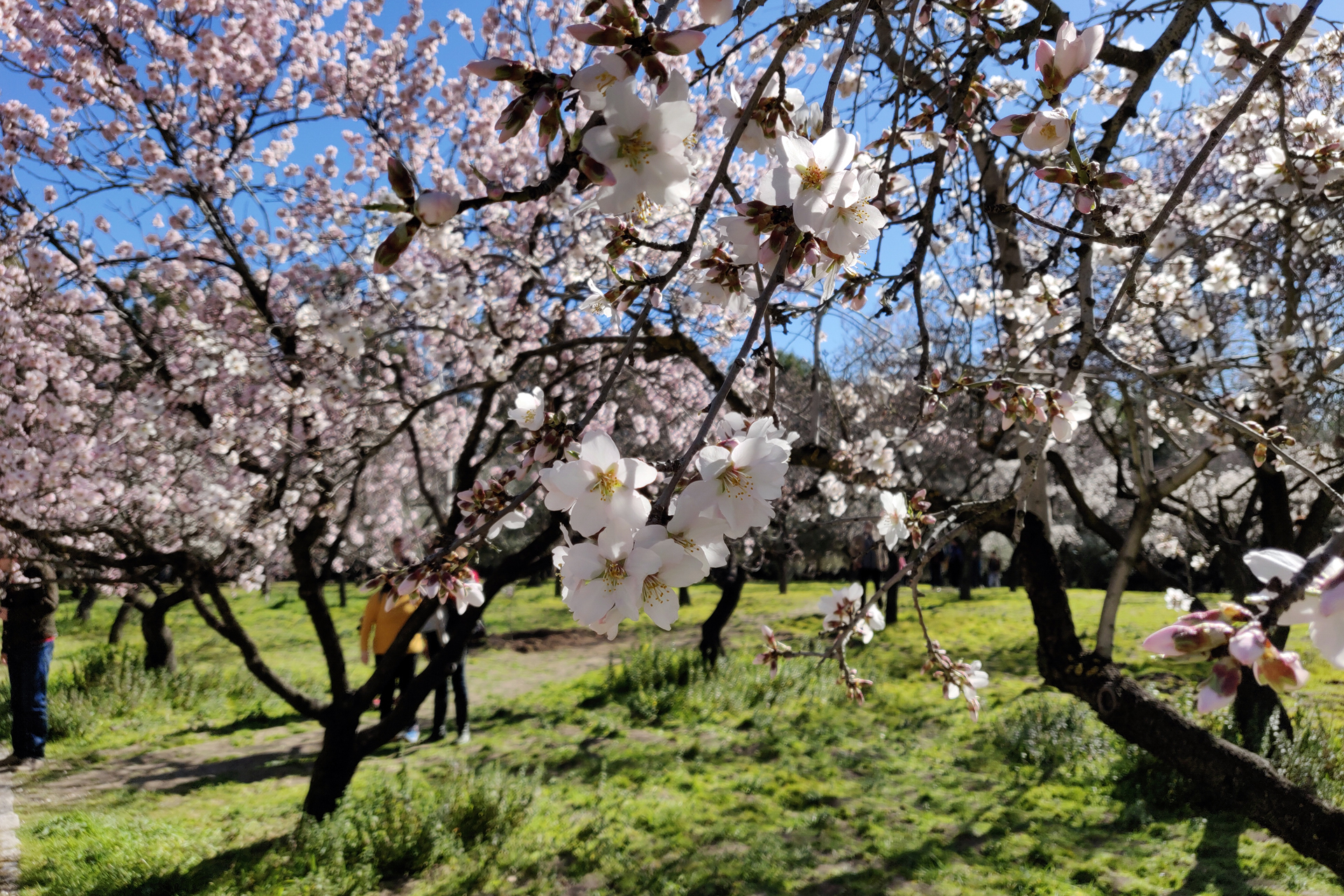 Quinta de los Molinos