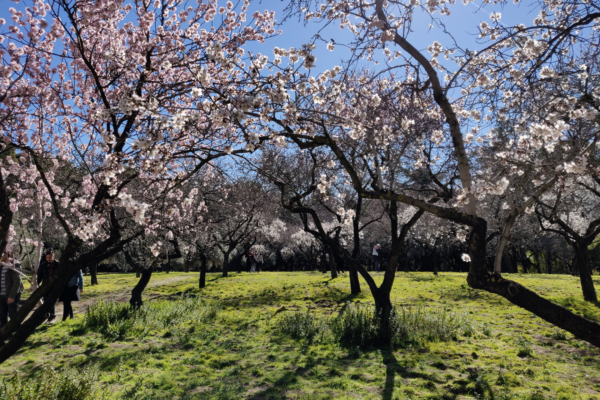 Quinta de los Molinos