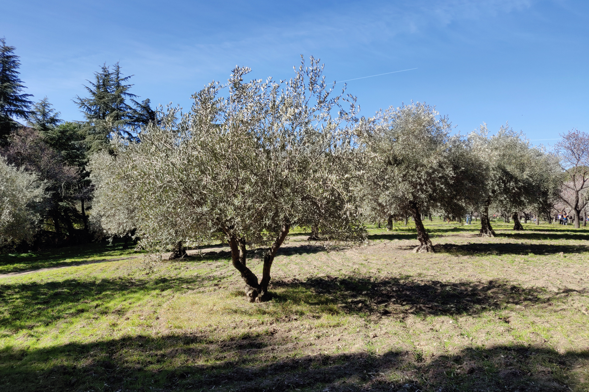 Quinta de los Molinos
