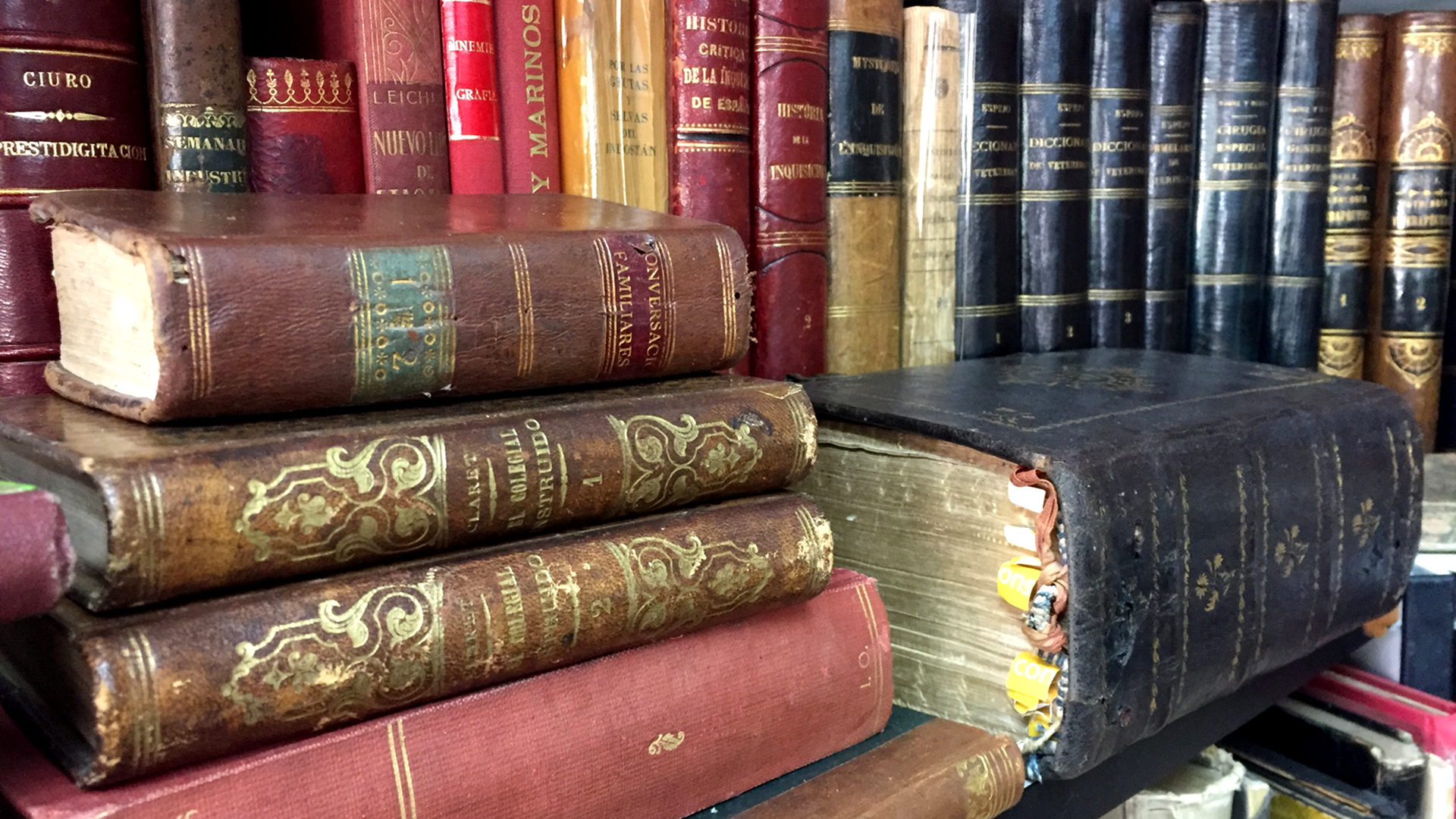 Feria de Otoño del Libro Viejo y Antiguo de Madrid en el Paseo de Recoletos
