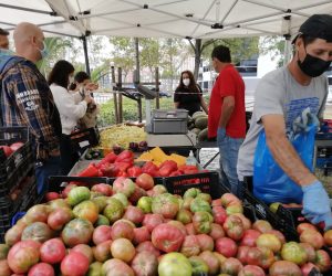 Mercado de Productores Planetario