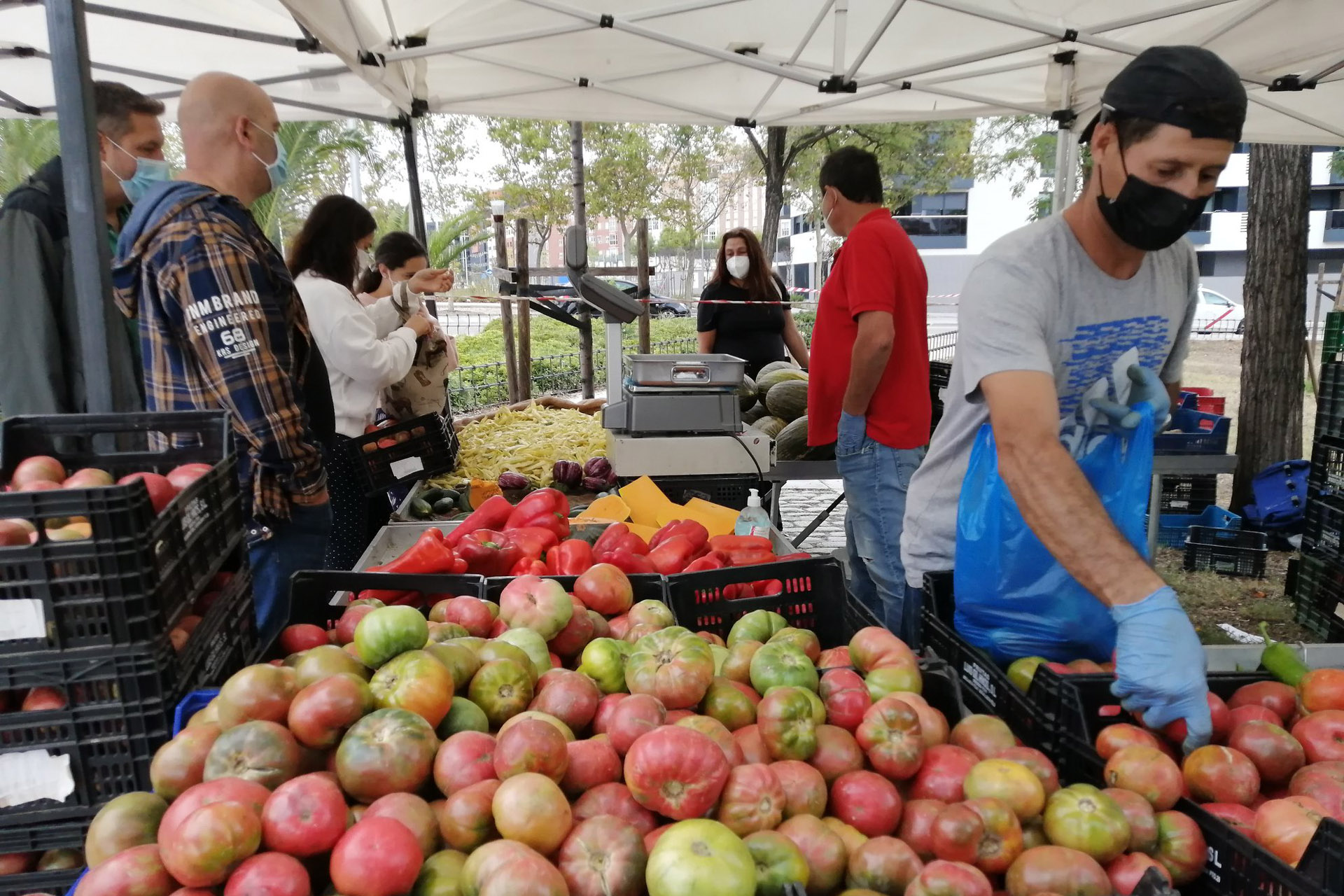 Mercado de Productores Planetario