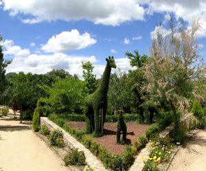 El Bosque Encantado