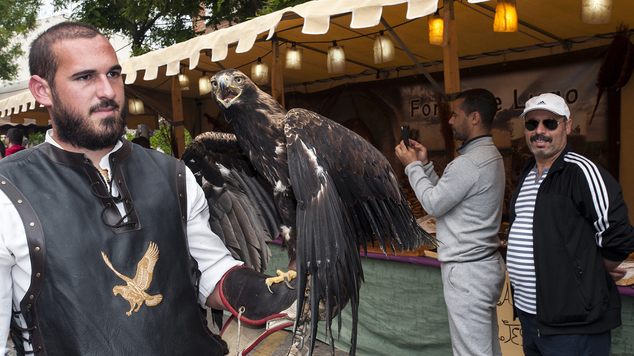 Gran Feria Medieval de El Álamo 2025