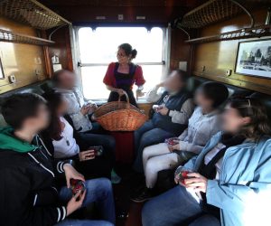 Tren de la Fresa